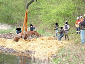 Einsatzbild Technische Hilfeleistung 12.04.2014 16:50