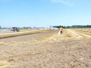Einsatzbild Mittelbrand (MB) 19.07.2014 13:11