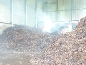 Einsatzbild Großbrand (GB) 24.07.2014 18:56