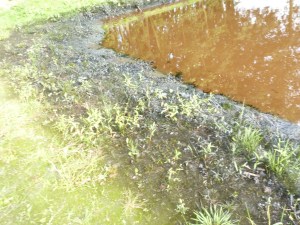 Einsatzbild Technische Hilfeleistung 30.07.2014 16:24