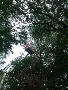 Einsatzbild Technische Hilfeleistung 12.08.2014 16:38