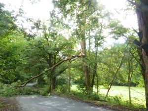 Einsatzbild Technische Hilfeleistung 23.08.2014 10:09