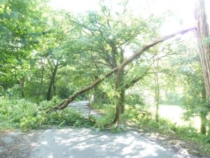 Einsatzbild Technische Hilfeleistung 23.08.2014 10:09