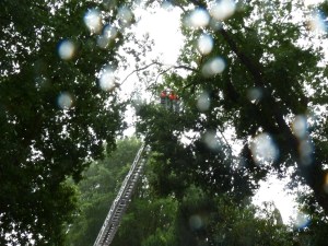 Einsatzbild Technische Hilfeleistung 25.07.2015 16:39