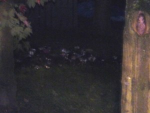 Einsatzbild Kleinbrand (KB) 08.10.2015 22:31