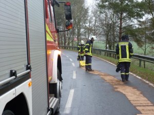 Einsatzbild Technische Hilfeleistung 16.01.2016 11:05
