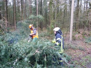 Einsatzbild Technische Hilfeleistung 09.02.2016 08:21