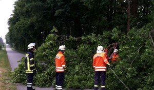 Einsatzbild Technische Hilfeleistung 29.05.2016 07:38