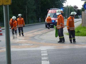 Einsatzbild Technische Hilfeleistung 16.08.2016 15:35