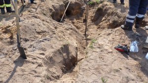 Einsatzbild Technische Hilfeleistung 02.06.2017 15:29