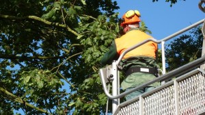 Einsatzbild Technische Hilfeleistung 13.09.2017 17:03