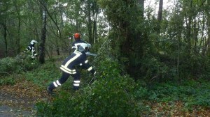 Einsatzbild Technische Hilfeleistung 05.10.2017 13:00