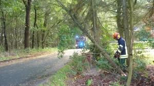 Einsatzbild Technische Hilfeleistung 05.10.2017 13:00