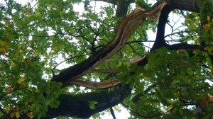 Einsatzbild Technische Hilfeleistung 06.10.2017 15:00