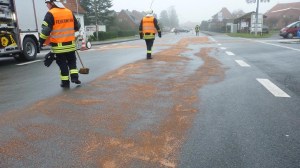 Einsatzbild Technische Hilfeleistung 22.12.2017 11:33