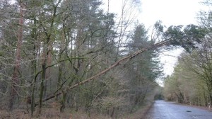 Einsatzbild Technische Hilfeleistung 18.01.2018 10:45