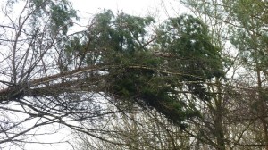 Einsatzbild Technische Hilfeleistung 18.01.2018 10:45