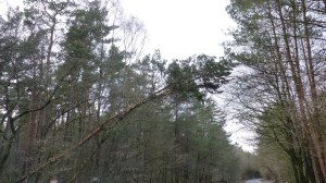 Einsatzbild Technische Hilfeleistung 18.01.2018 10:45