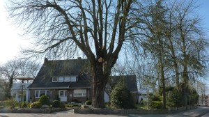 Einsatzbild Technische Hilfeleistung 18.03.2018 15:39