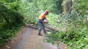 Einsatzbild Technische Hilfeleistung 08.06.2018 12:29