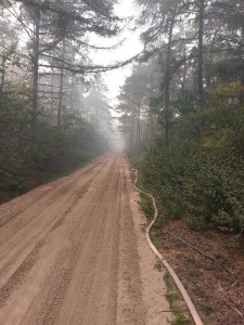 Einsatzbild Großbrand (GB) 18.09.2018 19:00