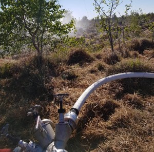 Einsatzbild Kreisfeuerwehrbereitschaft 15.05.2019 05:00