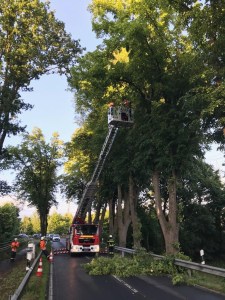 Einsatzbild Technische Hilfeleistung 07.06.2019 19:42