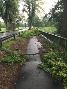 Einsatzbild Technische Hilfeleistung 07.06.2019 19:42