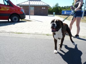 Einsatzbild Technische Hilfeleistung 29.06.2019 15:25
