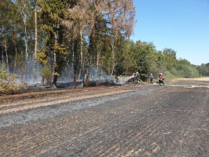 Einsatzbild Großbrand (GB) 24.07.2019 14:27