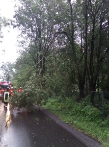 Einsatzbild Technische Hilfeleistung 12.08.2019 19:47