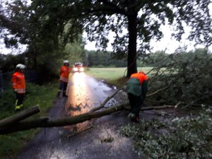 Einsatzbild Technische Hilfeleistung 12.08.2019 19:47