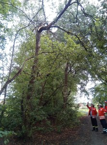 Einsatzbild Technische Hilfeleistung 15.08.2019 09:42