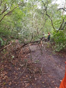 Einsatzbild Technische Hilfeleistung 15.08.2019 09:42