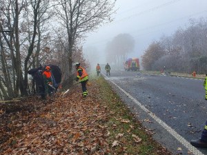 Einsatzbild Verkehrsunfall 01.12.2019 11:35