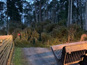 Einsatzbild Technische Hilfeleistung 09.02.2020 14:12