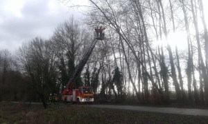 Einsatzbild Technische Hilfeleistung 10.02.2020 08:58
