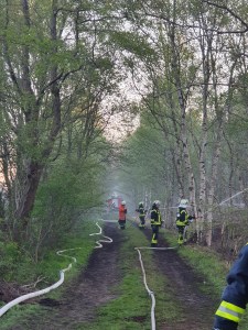Einsatzbild Kreisfeuerwehrbereitschaft 18.04.2020 21:28