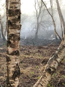 Einsatzbild Kreisfeuerwehrbereitschaft 18.04.2020 21:28