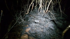 Einsatzbild Großbrand (GB) 19.04.2020 18:00