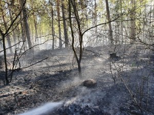 Einsatzbild Großbrand (GB) 22.04.2020 15:21
