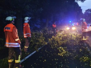 Einsatzbild Technische Hilfeleistung 17.08.2020 05:42
