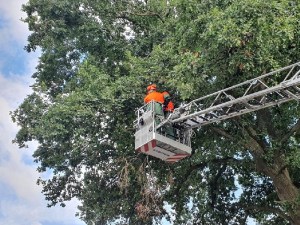 Einsatzbild Technische Hilfeleistung 23.08.2020 16:42