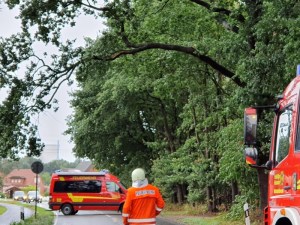 Einsatzbild Technische Hilfeleistung 26.08.2020 12:33