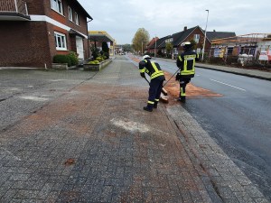 Einsatzbild Technische Hilfeleistung 14.11.2020 10:22