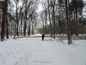 Einsatzbild Technische Hilfeleistung 07.02.2021 15:44