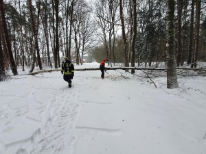Einsatzbild Technische Hilfeleistung 07.02.2021 15:44