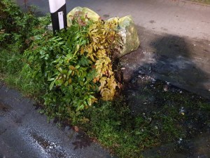 Einsatzbild Kleinbrand (KB) 11.06.2021 02:51