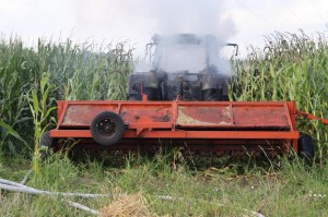 Einsatzbild Mittelbrand (MB) 14.08.2021 16:32