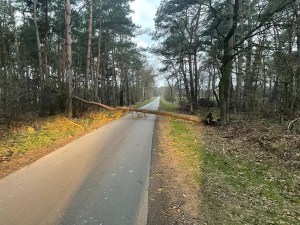 Einsatzbild Technische Hilfeleistung 17.02.2022 04:58